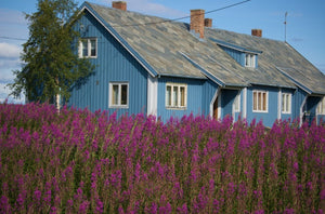 Tyra: Embodying the Strength and Honor Within This Thy-Rooted Scandinavian Treasure - Oli Prik Copenhagen